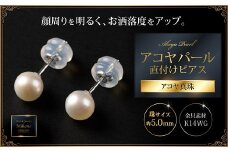 艶々ベビー！5mmアコヤ真珠直付けピアス：B425-007