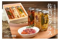 佐賀産熟成お酢使用【佐賀野菜のピクルス】3本：B140-050