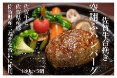 最高級佐賀牛合挽【空翔ぶハンバーグ】5個（ソース付）：B190-003