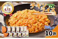 ＪＡさがオリジナルチキンライス 250g×10袋：B110-042