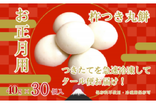 お正月用杵つき丸餅6P：A090-008