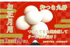 お正月用杵つき丸餅8P：B110-018