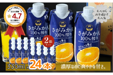 さがみかん100％搾り　330ml×12本入　2箱セット：B220-036