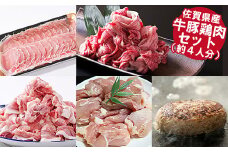 佐賀県産 牛豚鶏肉ステイホームセット（約4人分）：B345-003