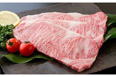 佐賀牛サーロインステーキ140g×3枚：B335-002