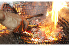 まこっちゃん うまうま焼き鳥Aセット：A090-016