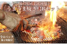 まこっちゃん うまうま焼き鳥Bセット：B140-013