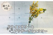 【選べるお色】ドライ＆プリザーブドフラワー：A085-005
