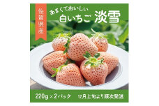 【先行予約】希少価値 佐賀県産 いちご 淡雪 220g×2パック フルーツ 旬 果物 イチゴ 苺 ピンク苺 白いちご 九州 佐賀県 佐賀市 清瀬農園 朝詰み：B140-009