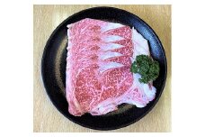 厳選佐賀牛ローススライス530g：B275-003