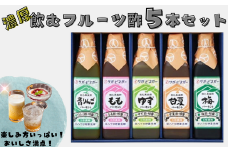 濃厚飲むフルーツ酢5本：B210-016