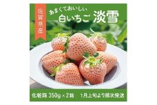 【先行予約】希少価値 佐賀県産 いちご 淡雪 （化粧箱×2箱） フルーツ 果物 旬 苺 白いちご 350g×2P 贈答 化粧箱 ギフト プレゼント 九州 佐賀県 佐賀市 清瀬農園  ：B190-026