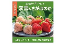 【先行予約】 佐賀県産 いちご さがほのか&淡雪 紅白セット フルーツ 果物 旬 苺 白いちご さがほのか 淡雪 220g×2P 紅白いちご 九州 佐賀県 佐賀市 清瀬農園 ：B140-069
