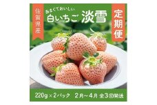 【定期便3回】希少価値 佐賀県産 いちご 淡雪 2~4月発送 フルーツ 果物 定期便 旬 苺 白いちご 九州 佐賀県 佐賀市 清瀬農園：B395-009