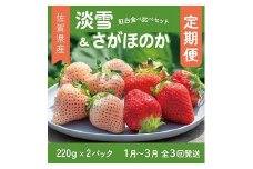 【定期便3回】佐賀県産 紅白いちご 食べ比べ 1~3月発送 淡雪 さがほのか フルーツ 果物 定期便 旬 苺 紅白 白いちご 九州 佐賀県 佐賀市 清瀬農園：B395-010