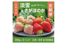 【定期便3回】佐賀県産 紅白いちご 食べ比べ 2~4月発送 淡雪 さがほのか フルーツ 果物 定期便 旬 苺 紅白 白いちご 九州 佐賀県 佐賀市 清瀬農園：B395-011