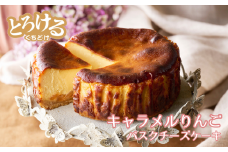キャラメルりんごのバスクチーズケーキ：B110-008
