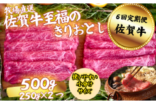 【定期便6回】佐賀牛 至福のきりおとし 500g：B730-006