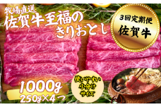 【定期便3回】佐賀牛 至福のきりおとし 1000g（250g×4P）：B640-006