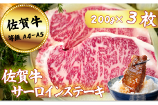 佐賀牛サーロインステーキ 200g×3枚：B250-023