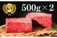 【牧場直送】佐賀産黒毛和牛 赤身ブロック肉 1000g：B240-004