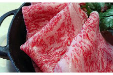 【定期便12回】佐賀牛A5ロース しゃぶしゃぶすき焼き用500g：C345-003