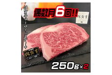 【偶数月定期便（年6回）】佐賀牛ステーキ 250g×2：C172-004