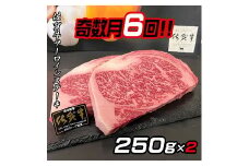 【奇数月定期便（年6回）】佐賀牛ステーキ 250g×2：C172-005