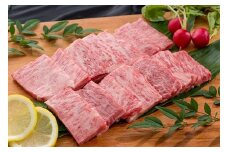佐賀牛ロース 焼肉用 500g：B365-003