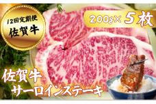 【定期便12回】佐賀牛サーロインステーキ 200g×5枚：C474-002