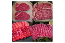 【佐賀牛定期便】1頭まるごと佐賀牛の定期便 全12回：C389-003