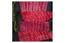 【牧場定期便】1頭まるごと佐賀産和牛の焼肉定期便 全3回：B490-003