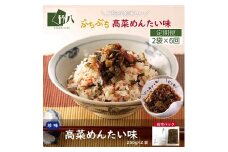 【定期便6回】高菜めんたい味（250g×2袋）：B590-002