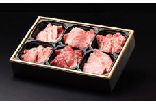 食べ比べ 佐賀牛焼肉6種盛り（60g×6）：B235-011