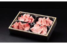 食べ比べ 佐賀牛焼肉4種盛り（100g×4）：B255-004