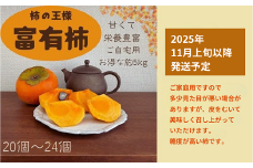 富有柿 ご自宅用 約5kg：B140-002