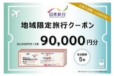 【ふるさと】佐賀県佐賀市 地域限定旅行クーポン 90,000円分 日本旅行 トラベルクーポン 納税チケット 旅行 宿泊券 ホテル 観光 旅行 旅行券 交通費 体験  宿泊 夏休み 冬休み 家族旅行 ひとり旅 カップル 夫婦 親子 佐賀市旅行：C300-025