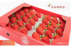 【先行予約】 佐賀県産 いちご さがほのか フルーツ 果物 旬 苺 イチゴ 220g×2P 九州 佐賀県 佐賀市 清瀬農園：B100-035