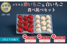【定期便3回】赤いちご白いちご食べ比べ（1月〜3月発送）：B395-012