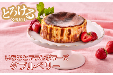 ダブルベリーのバスクチーズケーキ：B110-045
