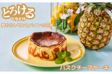 レモン＆パインのバスクチーズケーキ：A080-005