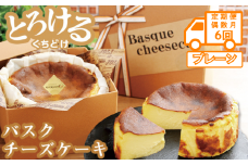 【定期便 偶数月6回】バスクチーズケーキ：B470-002