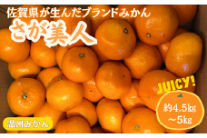 【先行予約】佐賀みかん さが美人：B175-009