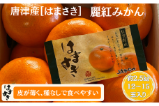 【先行予約】佐賀みかん 唐津産【はまさき】麗紅みかん：B210-021