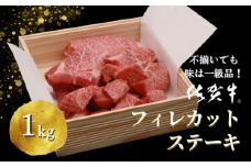 不揃いでも味は一級品！佐賀牛フィレカットステーキ 計1kg：B800-002