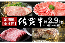 【定期便4回】佐賀牛セット 2.9kg（約2～3人前）：B985-003