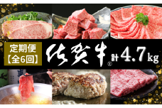 【定期便6回】佐賀牛セット 4.7kg：C200-045