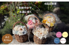 【4回定期便】ドライフラワーバスケットアレンジ：B865-003