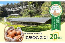 国産飼料の平飼い有精卵「名尾のたまご」20個入：B100-045