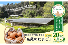 【定期便24回】国産飼料の平飼い有精卵「名尾のたまご」20個入：C210-003